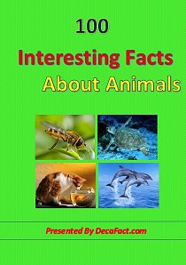 Free ebook,fun and interesting animal facts ebook
